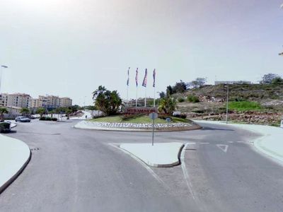 Culmina la Campaña de Plantacion de 4.000 Arboles en el Municipio.