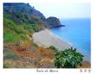 Actividades en la naturaleza