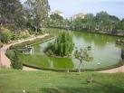 Paseo botánico