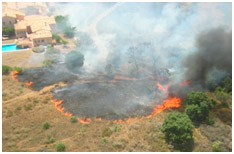 Prevención de incendios forestales
