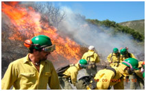 Prevención de incendios forestales