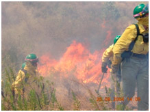 Prevención de incendios forestales