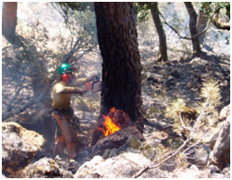 Prevención de incendios forestales