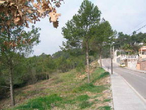 Prevención en la interfaz urbano-forestal