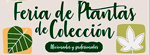 Feria de Plantas de Colección