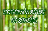 Exposición Anual de Bonsáis