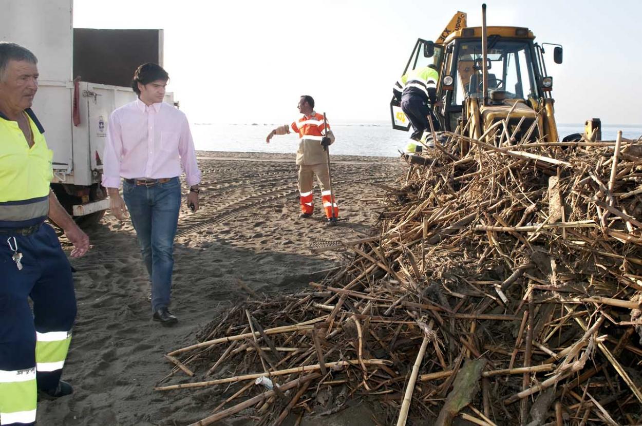 El Ayuntamiento de Benalmádena retira de las playas en las últimas 48 horas más de 22.000 kilos de cañas y troncos arrastrados por las lluvias