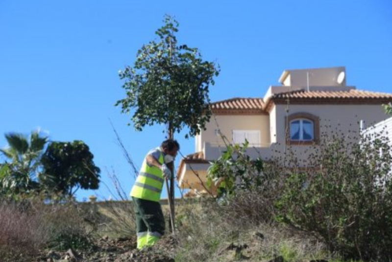 El Ayuntamiento ultima la plantación de 250 árboles en los terrenos del futuro Parque Al-Baytar 