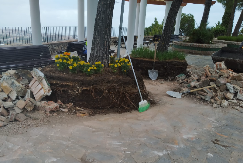 SERVICIOS OPERATIVOS CONTINÚAN CON EL PLAN DE MEJORAS EN JARDINES DEL MURO Y CALLE SANTO DOMINGO