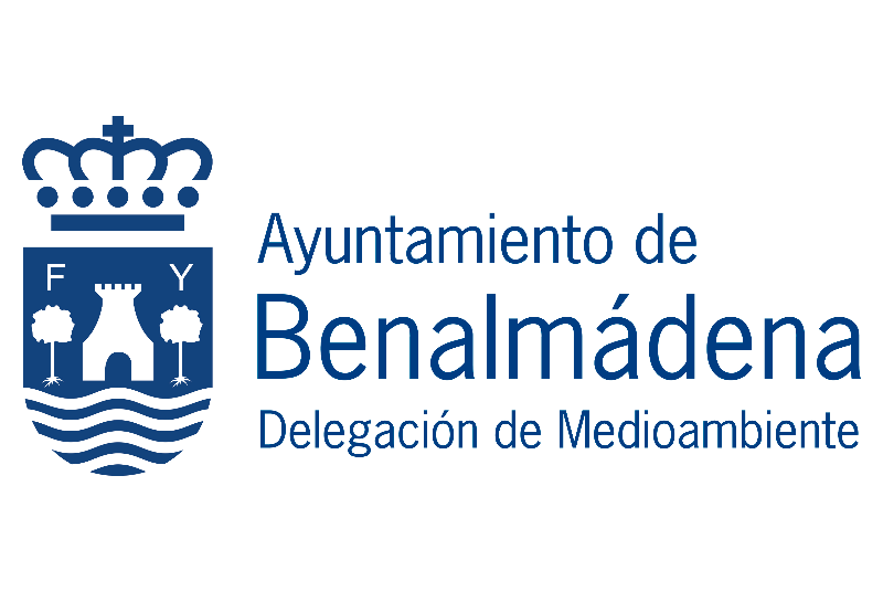 EL AYUNTAMIENTO TRASLADARÁ LAS PALMERAS DEL PASAJE DEL ÁGUILA AL PARQUE ALBAYTAR