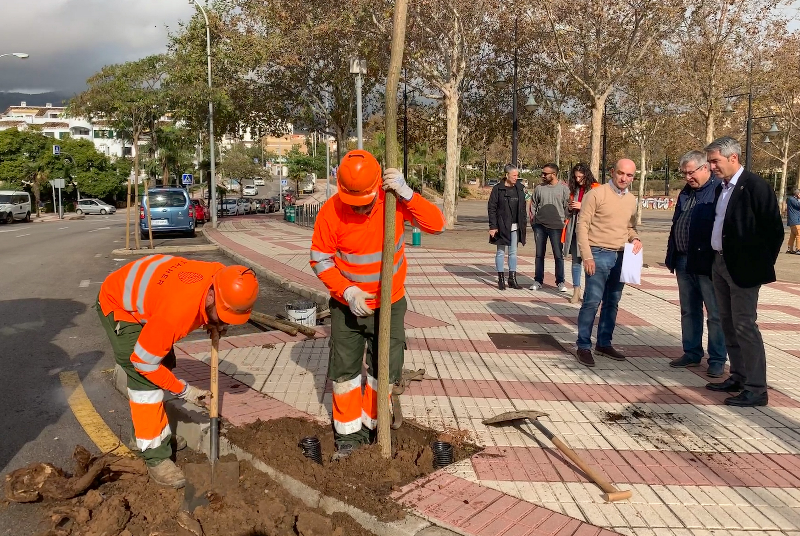 EL AYUNTAMIENTO DE BENALMÁDENA HA PLANTADO MÁS DE 1.200 ÁRBOLES DURANTE ESTA LEGISLATURA 