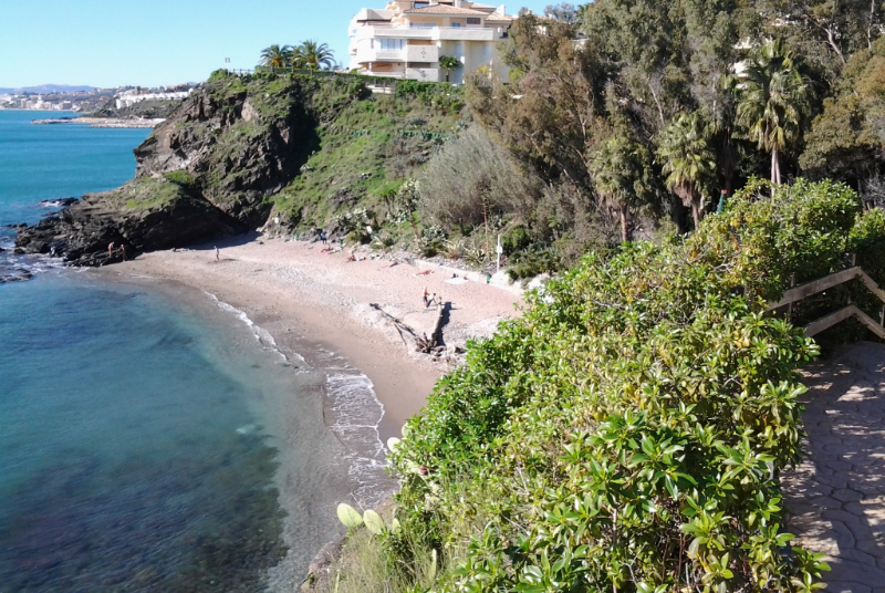 El Ayuntamiento recuerda que la tala y desbroce en alrededores de Playa Benalnatura son para evitar “situaciones de riesgo” y certificadas por un técnico municipal