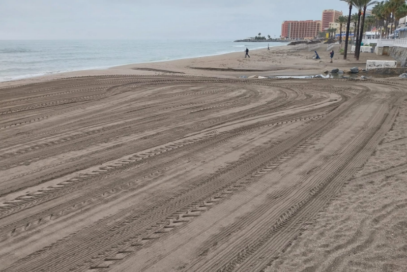 El Ayuntamiento estima que retirará unas 70 toneladas de alga asiática de las playas, ancladas y dispersas a causa del fuerte temporal