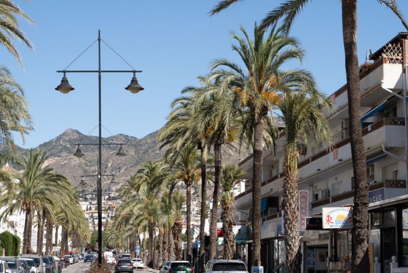 El alcalde visita los trabajos de plantación de arbolado que se realizan en varias avenidas de la Costa