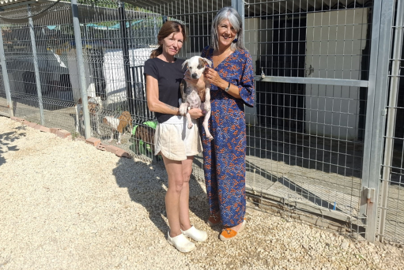 El Ayuntamiento de Benalmádena y Fidelio trabajan de manera conjunta para conseguir la adopción de todos los animales acogidos por la asociación en el plazo de un año