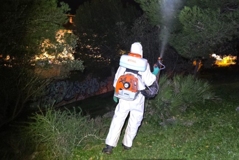 El Ayuntamiento refuerza los tratamientos fitosanitarios para combatir la procesionaria y el picudo rojo