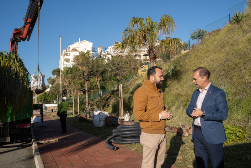 El Ayuntamiento pone en marcha su segundo Plan de Arbolado con la plantación de casi 600 árboles