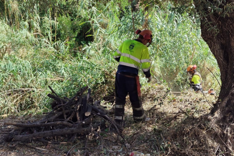 El Ayuntamiento culmina la limpieza preventiva de cauces y refuerza la protección frente a incendios forestales en las zonas de mayor riesgo