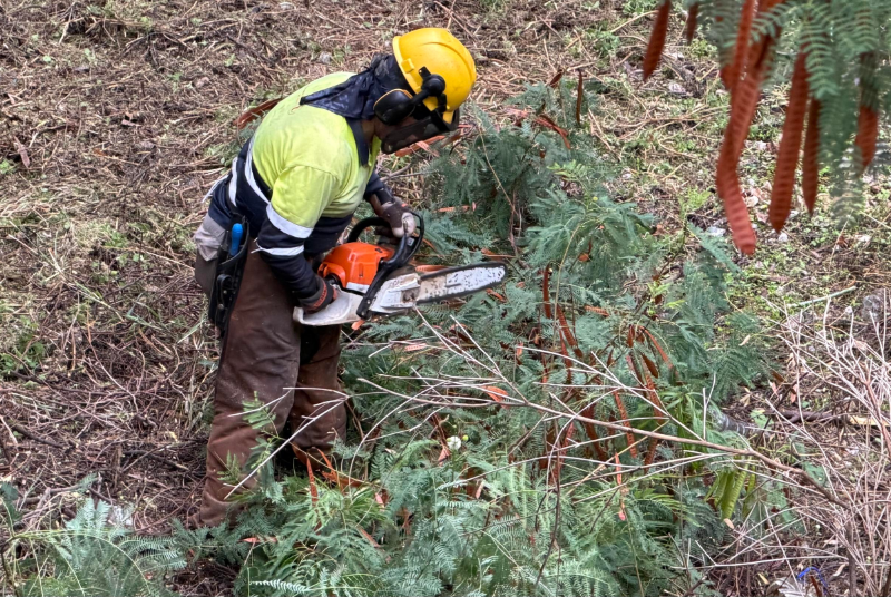 Continúan los trabajos de desbroce y mantenimiento de arroyos y cauces ante la temporada de lluvias