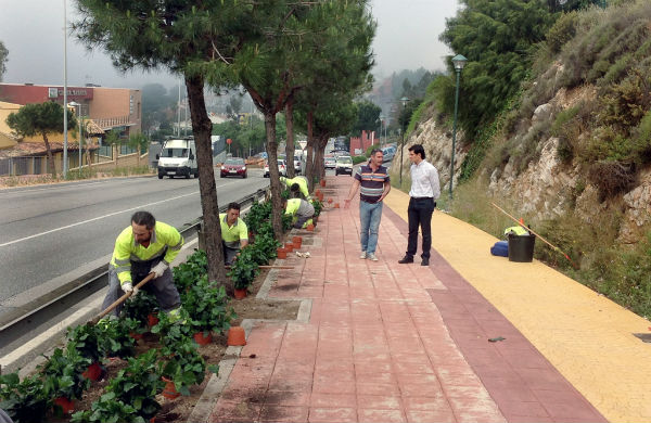 El Ayuntamiento embellece con más de 1.400 plantas la principal entrada de Arroyo de la Miel de cara a la temporada estival
