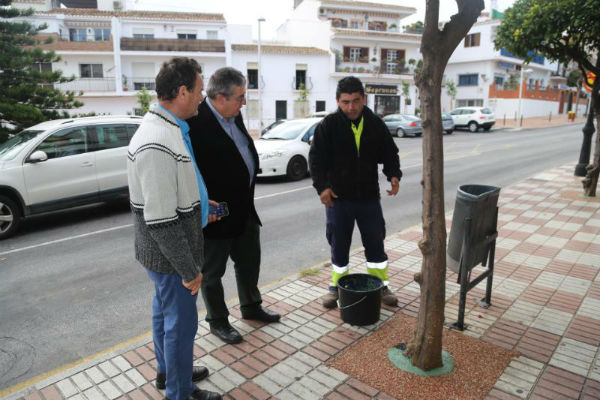 El Ayuntamiento acomete el acondicionamiento y mejora de más de 350 alcornoques