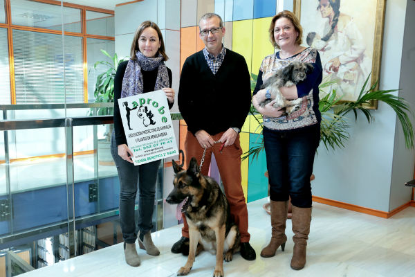 El Ayuntamiento pone en marcha la campaña de concienciación 'No me regales en Navidad. No soy un juguete'