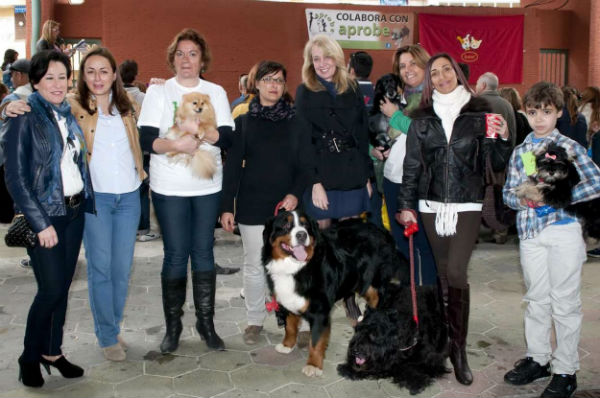 Más de medio millar de personas asistieron con sus mascotas a la II Fiesta Solidaria de Perros de Benalmádena