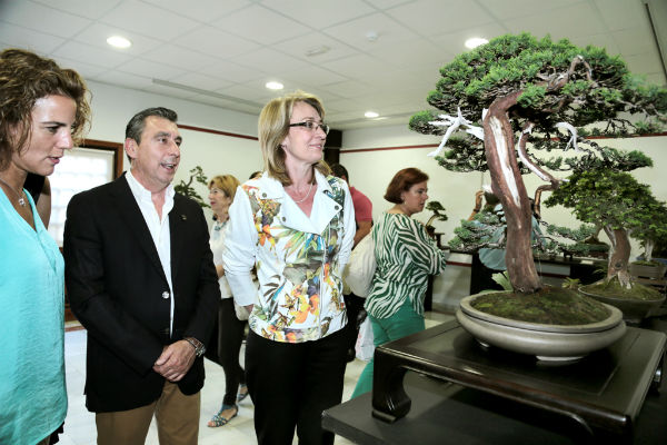 La regidora inaugura la XXV Muestra de Primavera de la Asociación Amigos del Bonsai