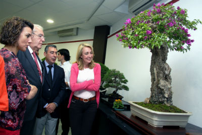 La Alcaldesa inaugura la XXIV Muestra de Primavera de la Asociación Amigos del Bonsái