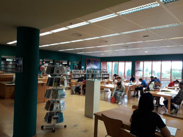 La Biblioteca Arroyo de la Miel incorpora a su fondo para estas fiestas más de 650 documentos