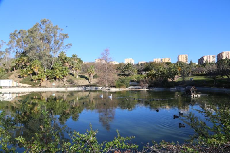 El Ayuntamiento procede a la limpieza del lago y reparación del geiser del Parque de la Paloma.