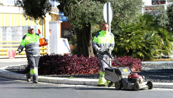 El Ayuntamiento acomete trabajos de embellecimiento y mejora en la avenida de las Palmeras