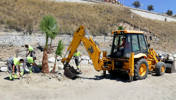El Ayuntamiento lleva a cabo trabajos de ornamentación y embellecimiento en la playa de Carvajal