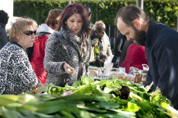 La Plaza de Pueblosol acoge una nueva edición de la Feria Ecológica