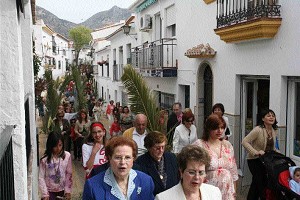 Recordando Domingo de Ramos Palmas y Olivos 06