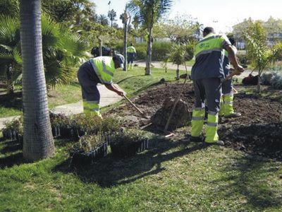 Potenciación de las plantas autóctonas