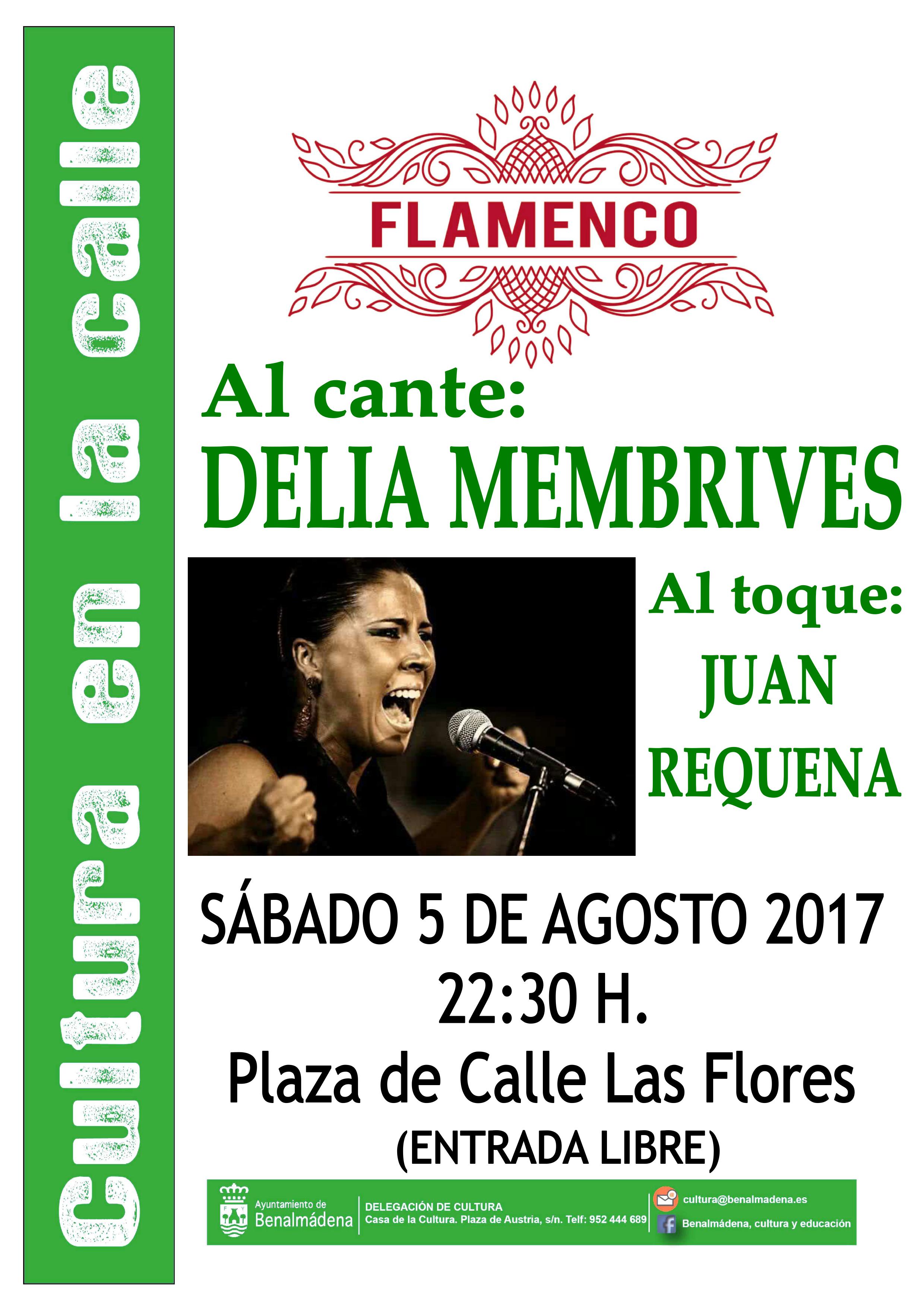 Concierto Flamenco