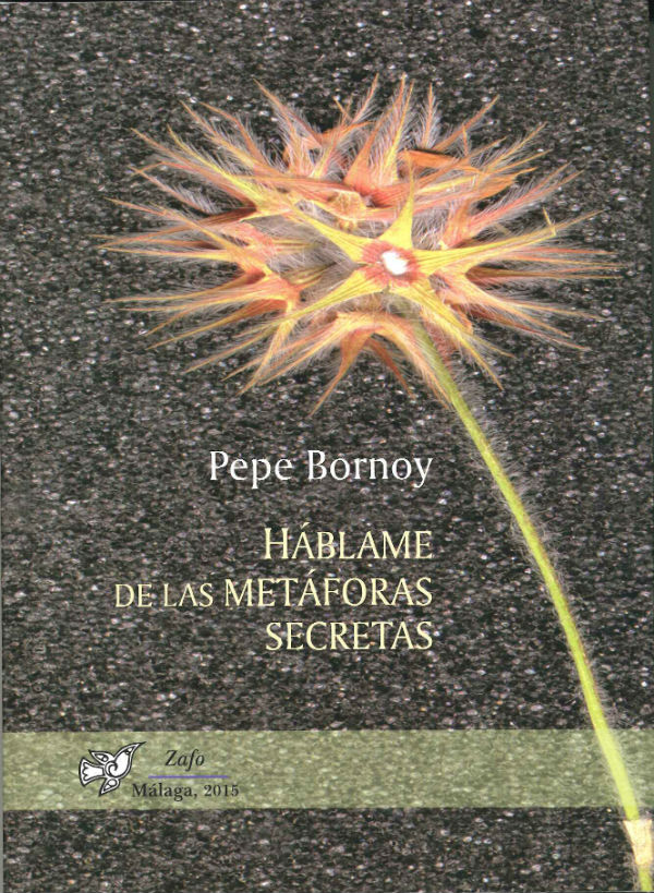 Presentación del libro de poemas 'Háblame de las Metáforas Secretas'