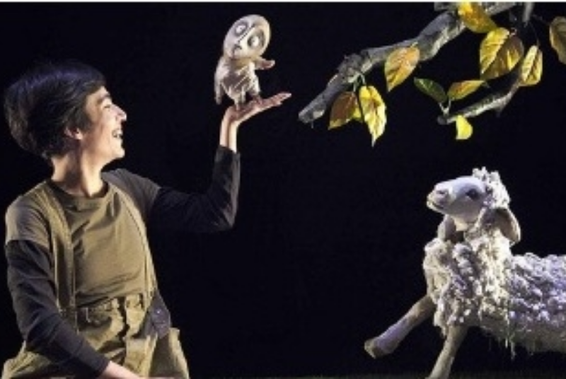 CHILDREN’S ENTERTAINMENT: PUPPETS SHOW “HISTORIA DE UNA SEMILLA”CIA LA MAQUINE