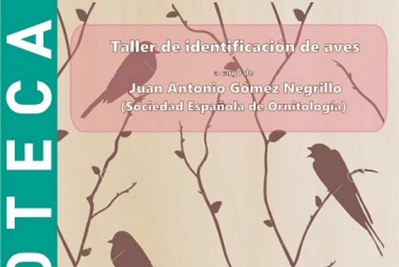 TALLER DE IDENTIFICACIÓN DE AVES, POR JUAN ANTONIO GÓMEZ NEGRILLO