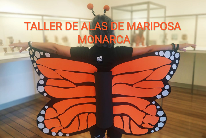 TALLER DE ALAS DE MARIPOSA MONARCA