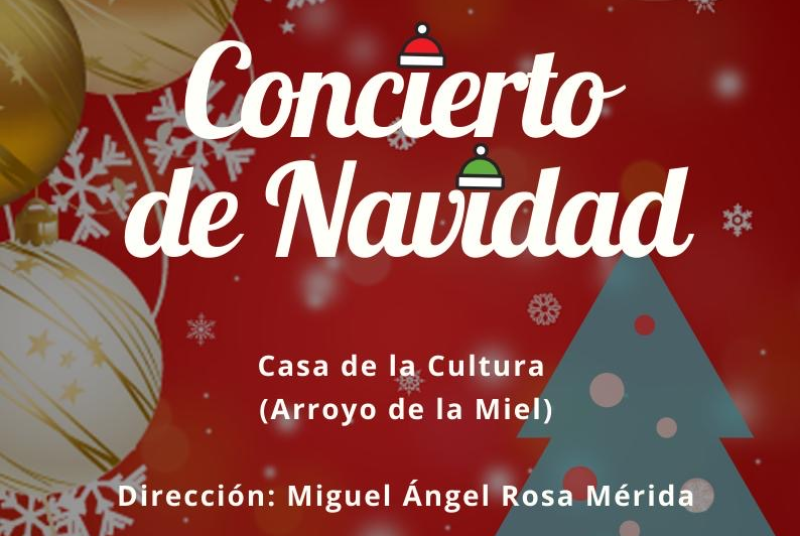 CONCIERTO DE NAVIDAD