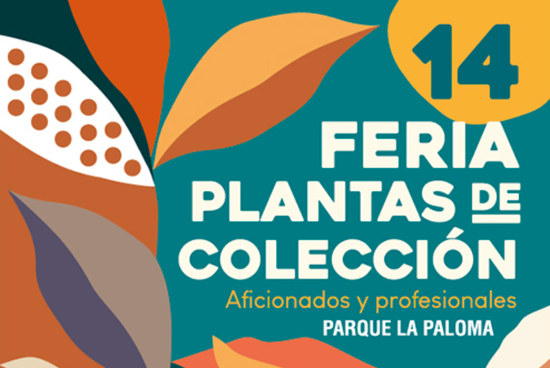 14 FERIA DE PLANTAS DE COLECCIÓN