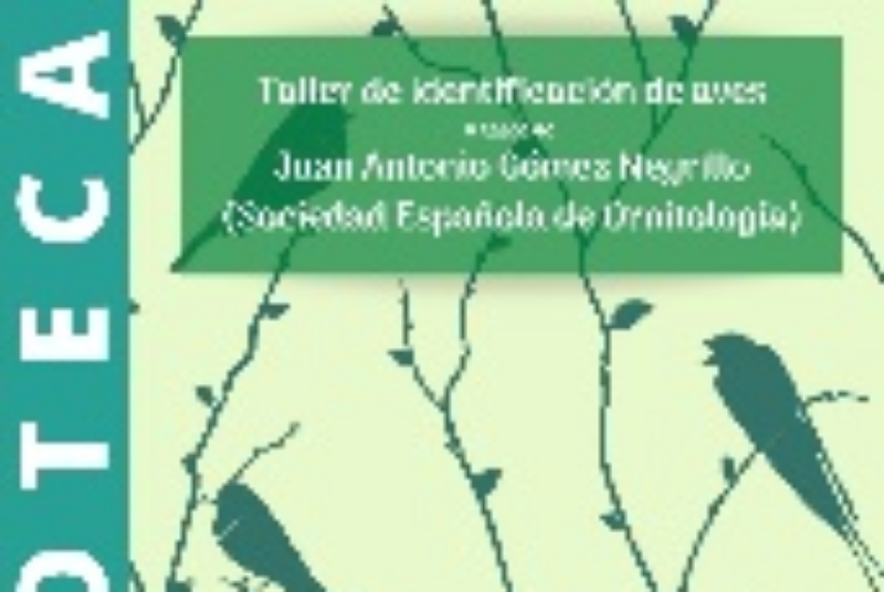 TALLER DE IDENTIFICACIÓN DE AVES