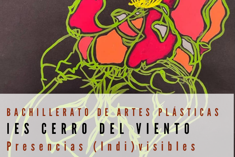 PRESENCIAS (INDI)VISIBLES 