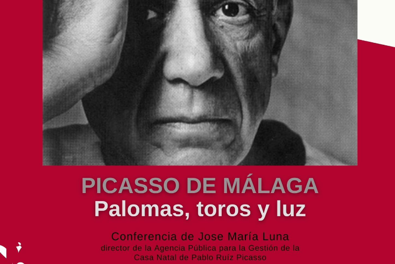 PICASSO OF MALAGA. PIGEONS, BULLS AND LIGHT