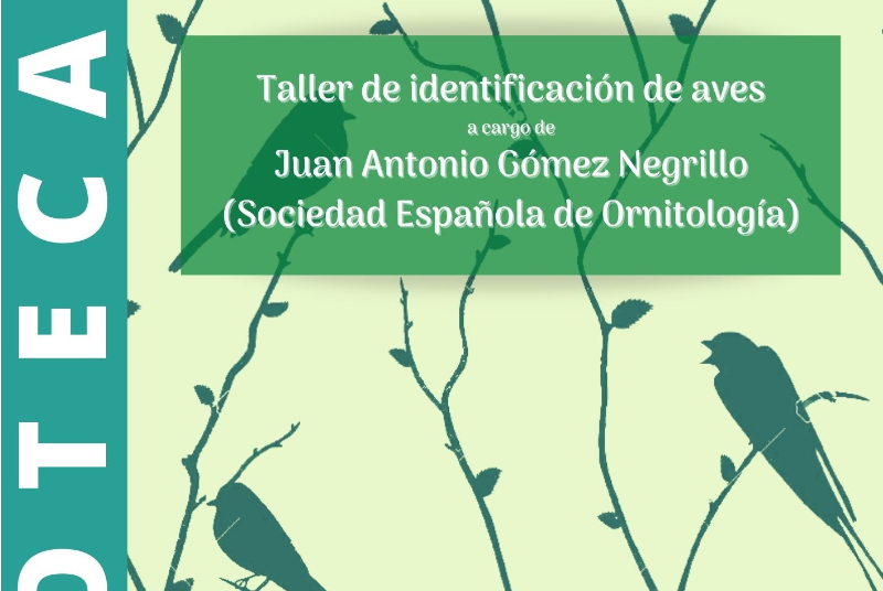 TALLER DE IDENTIFICACIÓN DE AVES