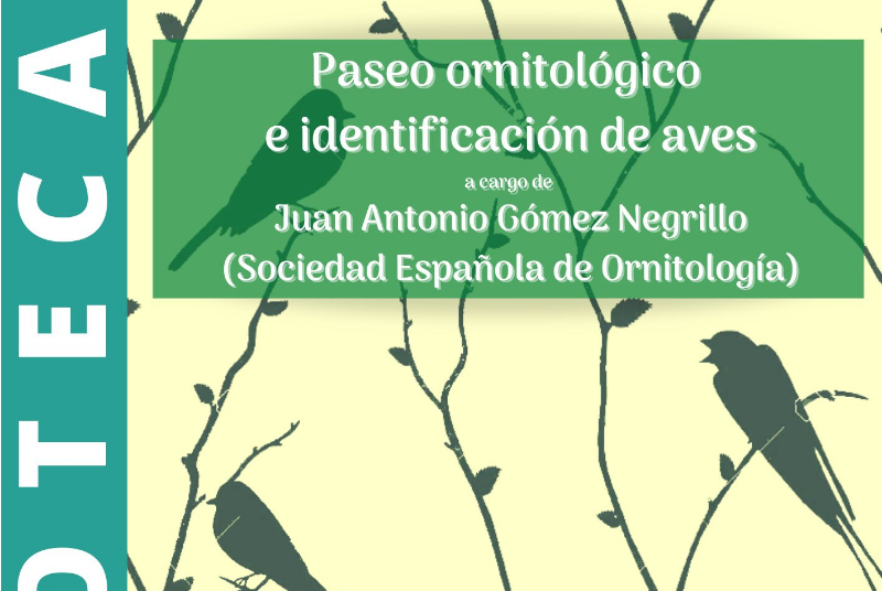 BIRD IDENTIFICATION WORKSHOP