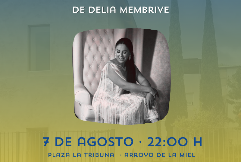 CULTURA EN LA CALLE: CUADRO FLAMENCO DELIA MEMBRIVE