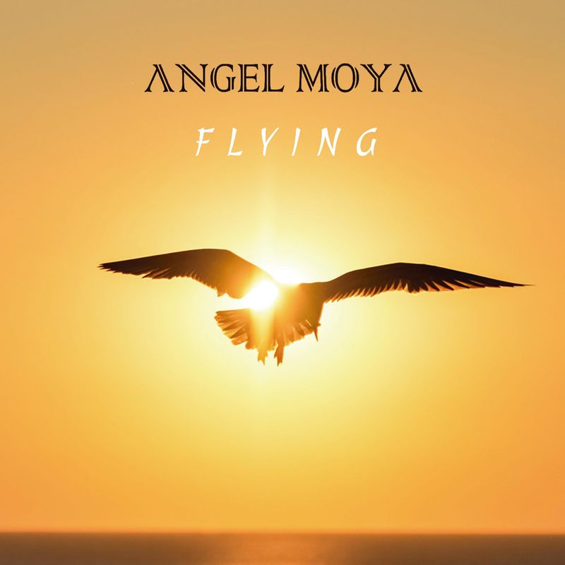 Ángel Moya